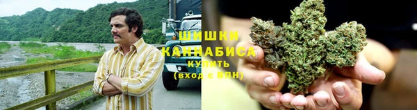 PSILOCYBIN Богданович