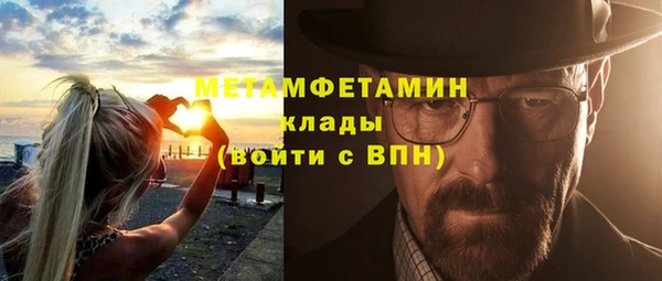 PSILOCYBIN Богданович