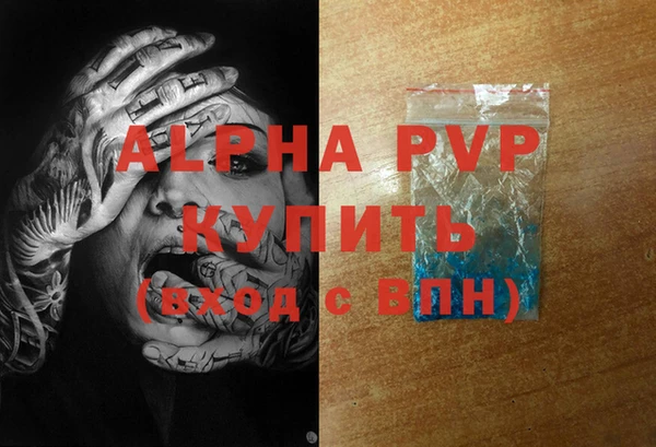 PSILOCYBIN Богданович