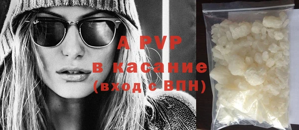PSILOCYBIN Богданович